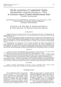 karaa_etal_2013-dermochelys_tunisia